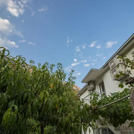 Apartamento Vanja *